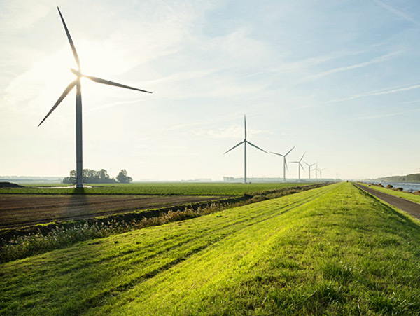 row of wind turbines in a green field under a clear sky with a road running alongside