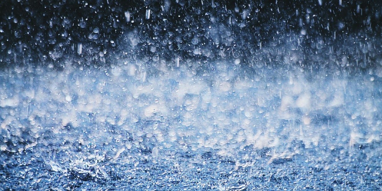 A closeup of raindrops. 